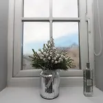 בית נופש White Rose *